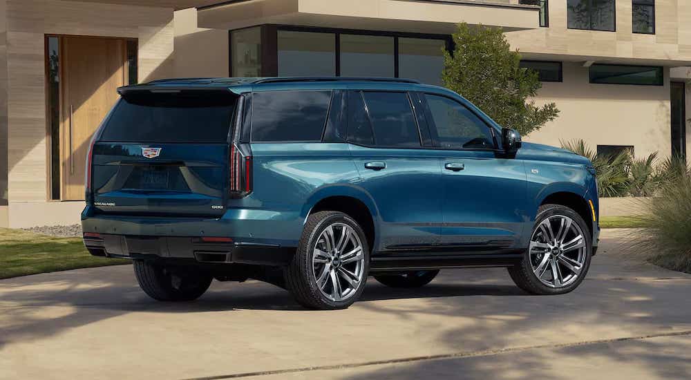 Rear view of a blue 2025 Cadillac Escalade parked on a driveway.