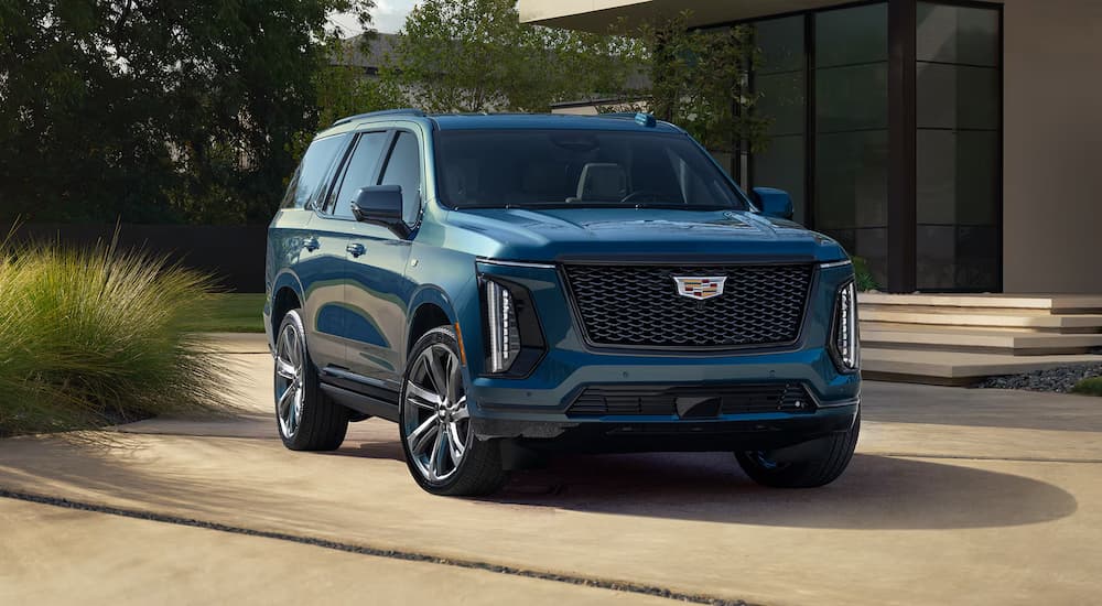 A blue 2026 Cadillac Escalade parked in a driveway