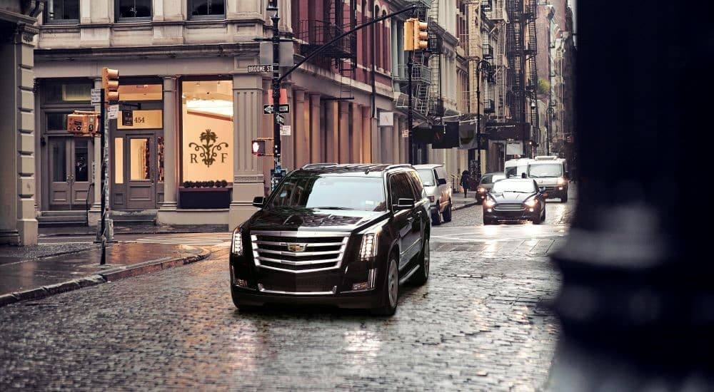 A black 2020 Cadillac Escalade driving in a city.