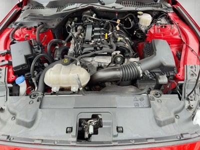 2023 Ford Mustang EcoBoost Premium Fastback