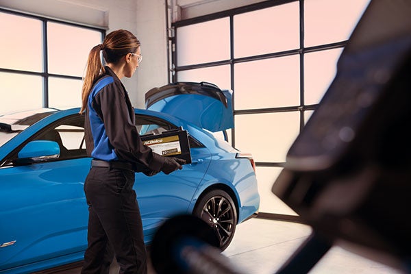 Code Retrieval Service