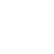Certified Vehicle icon.