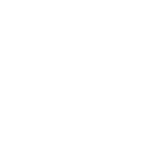 Steering wheel icon.