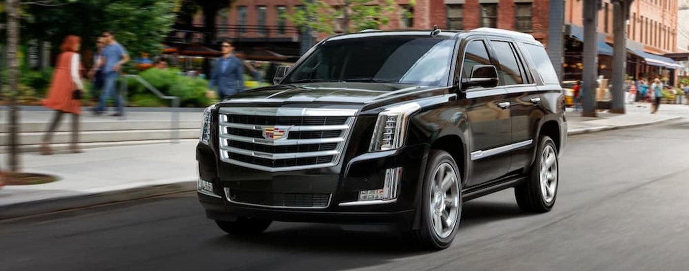 Left-angled view of a black 2020 Cadillac Escalade driving through a city street.